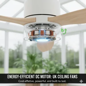 Close-up of a low-energy DC motor ceiling fan designed for cost-effective conservatory cooling.