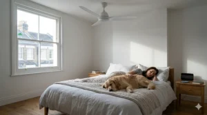 A peaceful British bedroom featuring a quiet wifi ceiling fan, with a person and a dog sleeping soundly in natural morning light.